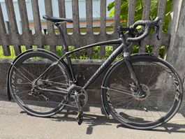 Specialized Secteur Expert Disc