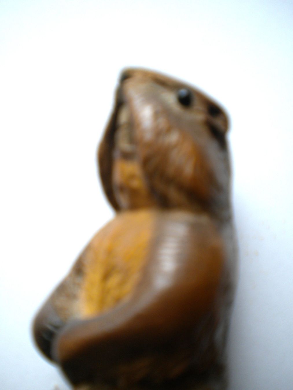 Statuette: Murmeltier Holzfigur, Handgeschnitzt, mit Glasaugen – Usato da Bad Zurzach venduto da sudussli 5