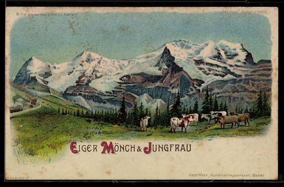 Cartes postales: Litho Eiger, Mönch und Jungfrau, Kühe  – D'occasion à Berlin par bartko-reher