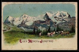 Litho Eiger, Mönch und Jungfrau, Kühe 