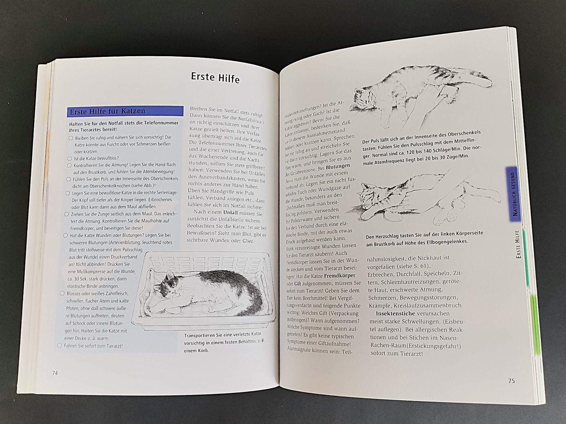 Bücher: Buch - Meine Katze – Gebraucht aus Schaffhausen von Restwert_SH 5