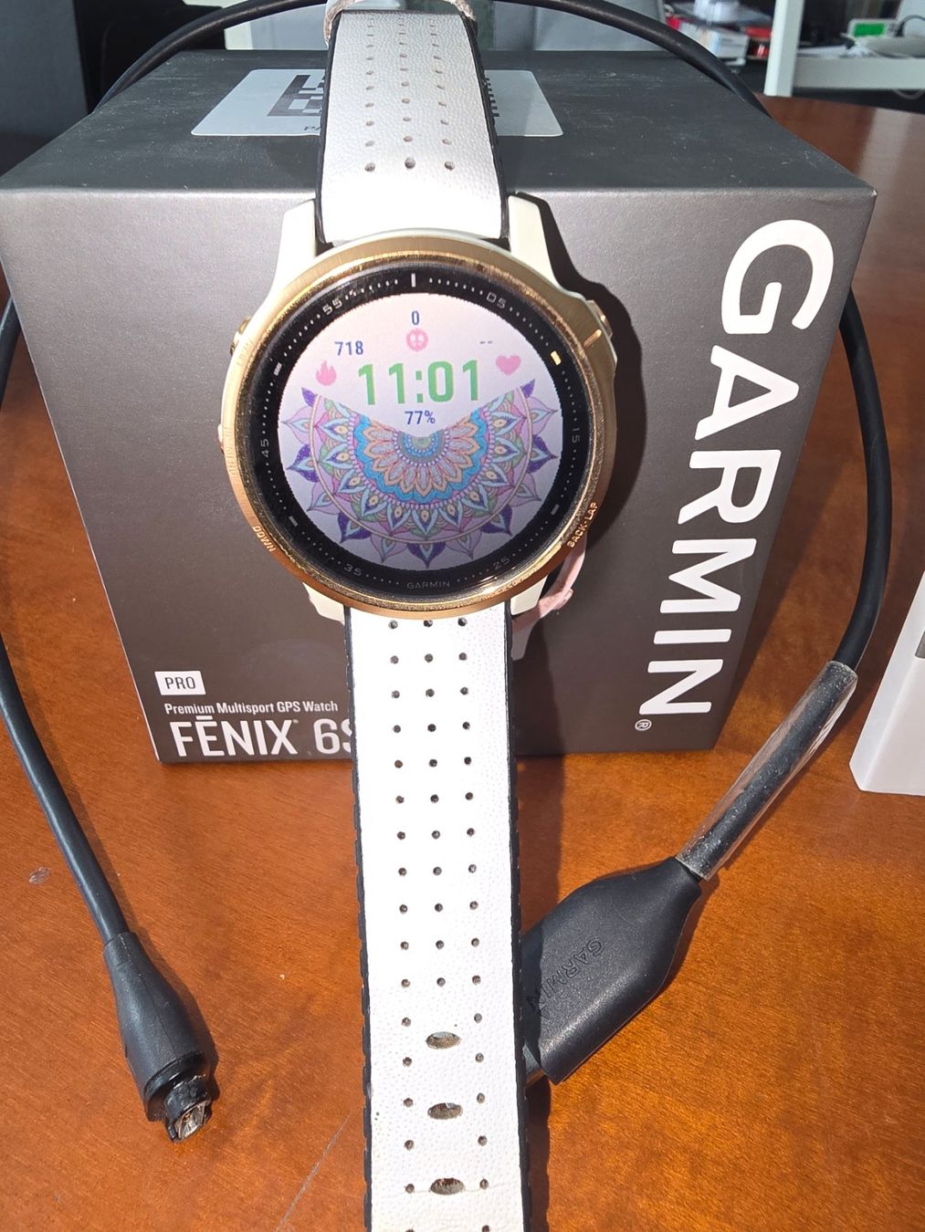 Garmin Smartwatch: MONTRE CONNECTEE GARMIN FENIX 6S PRO – Usato da CORGEMONT venduto da hoodoo2007