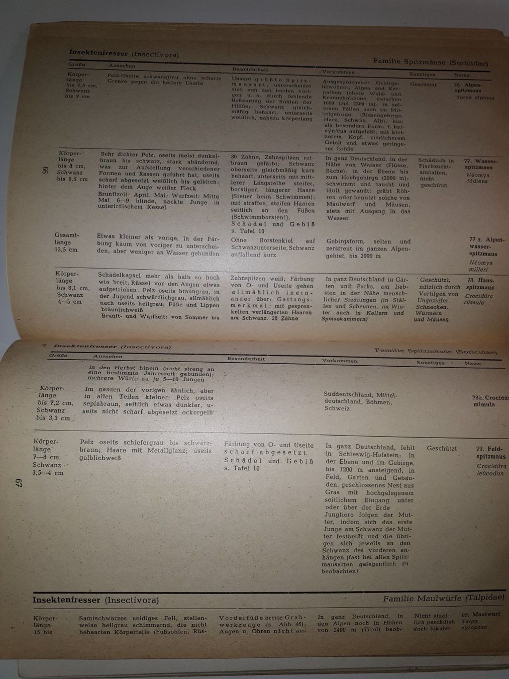 Libri: Welches Tier ist das? – Usato da Dietikon venduto da Buchantiqdietikon 3