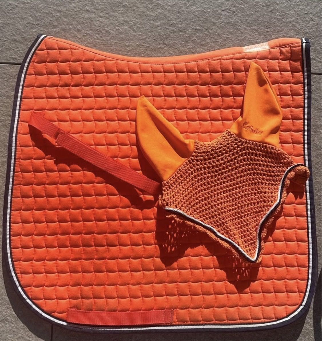 Eskadron Coperte: Eskadron Schabrake und Fliegenhaube – Usato da Zollbrück venduto da ana_aeb
