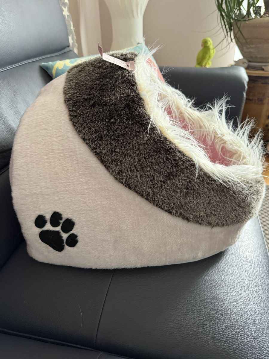 Cucce & Letti: Panier pour chat peu utilisé – Nuovo (secondo la descrizione) da Dombresson venduto da feline_ne