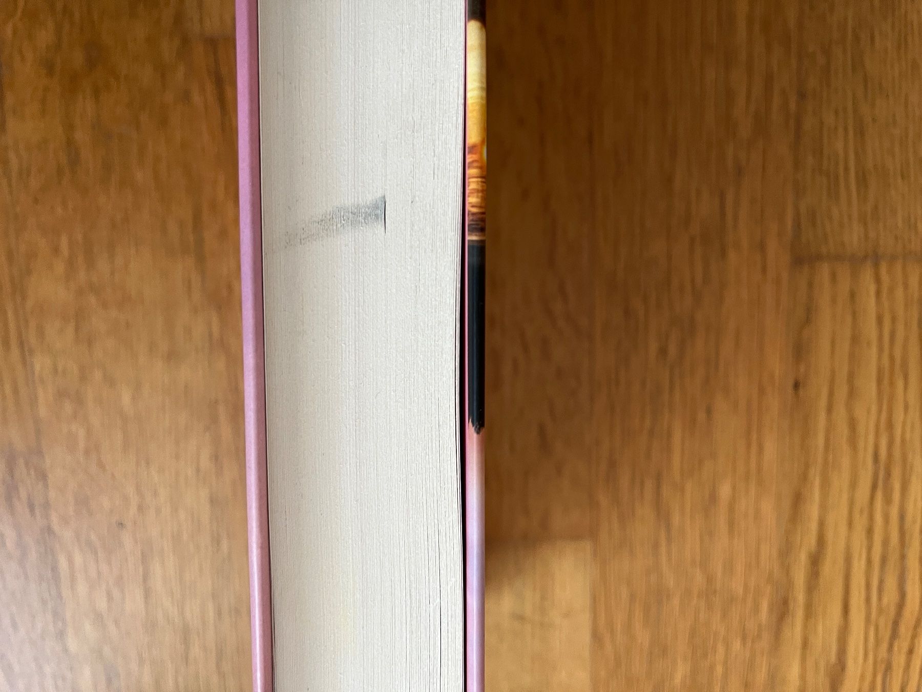 Libri: Buch gebunden "Vertrau deinem Herzen", Susan Wiggs – Usato da Grosswangen venduto da Vita500 2