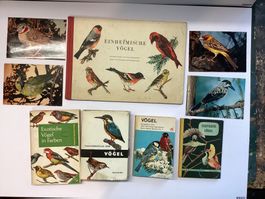 5 Bücher Vögel und 4 Postkarten, Farbdarstellungen ,Thematik