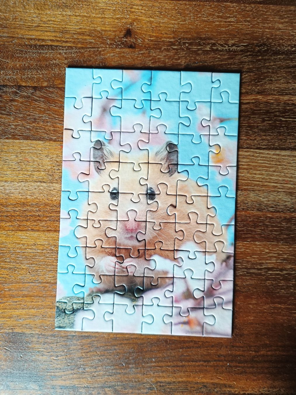 Ravensburger Puzzles: Kleine Puzzles Koala & Hamster – Gebraucht aus Buochs von NAmb 5