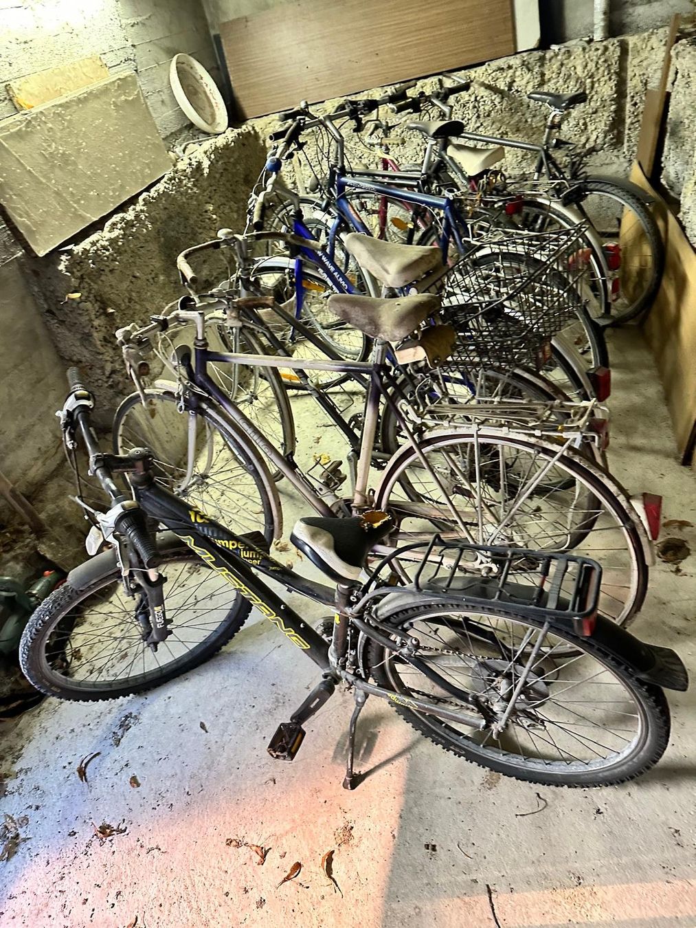 Biciclette: Alte Fahrräder – Usato da Spreitenbach venduto da Space_X 5