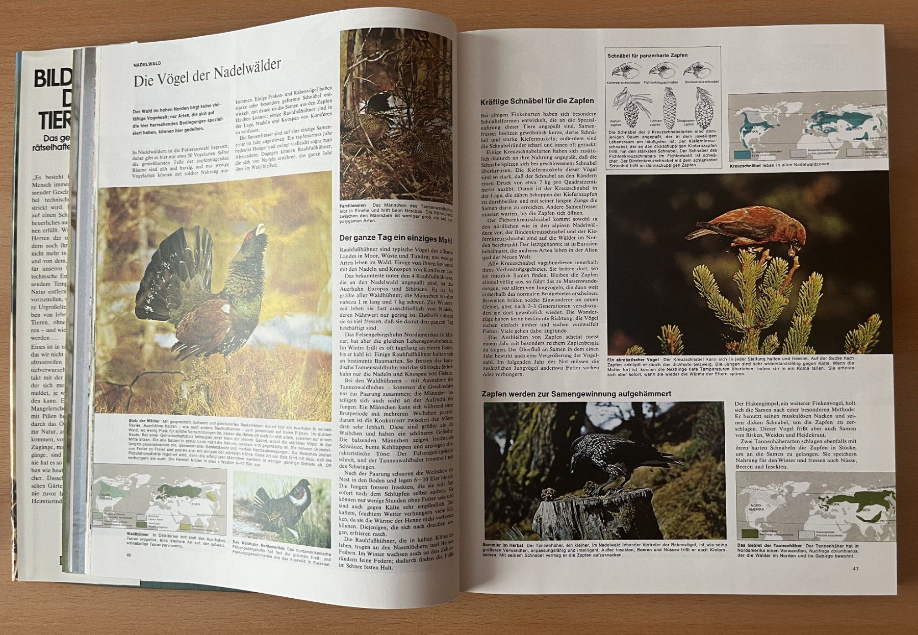 Libri: Bildatlas der Tierwelt – Usato da Lausen venduto da Mondeo10628 3