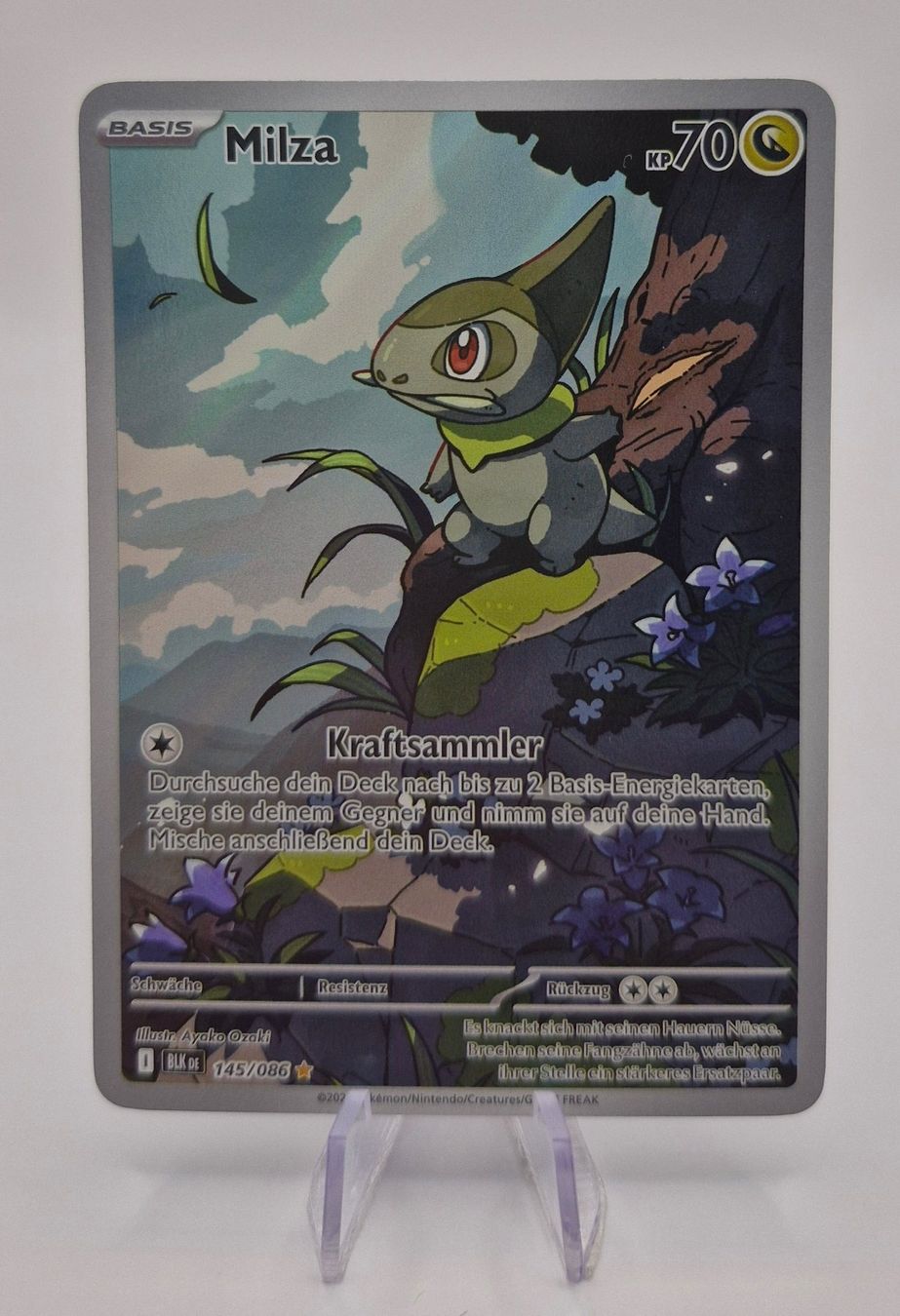 Pokémon Carte collezionabili: Milza / Axew / Schwarze Blitze / BLK 145 – Nuovo (secondo la descrizione) da Arni AG venduto da PokemonCardsStore