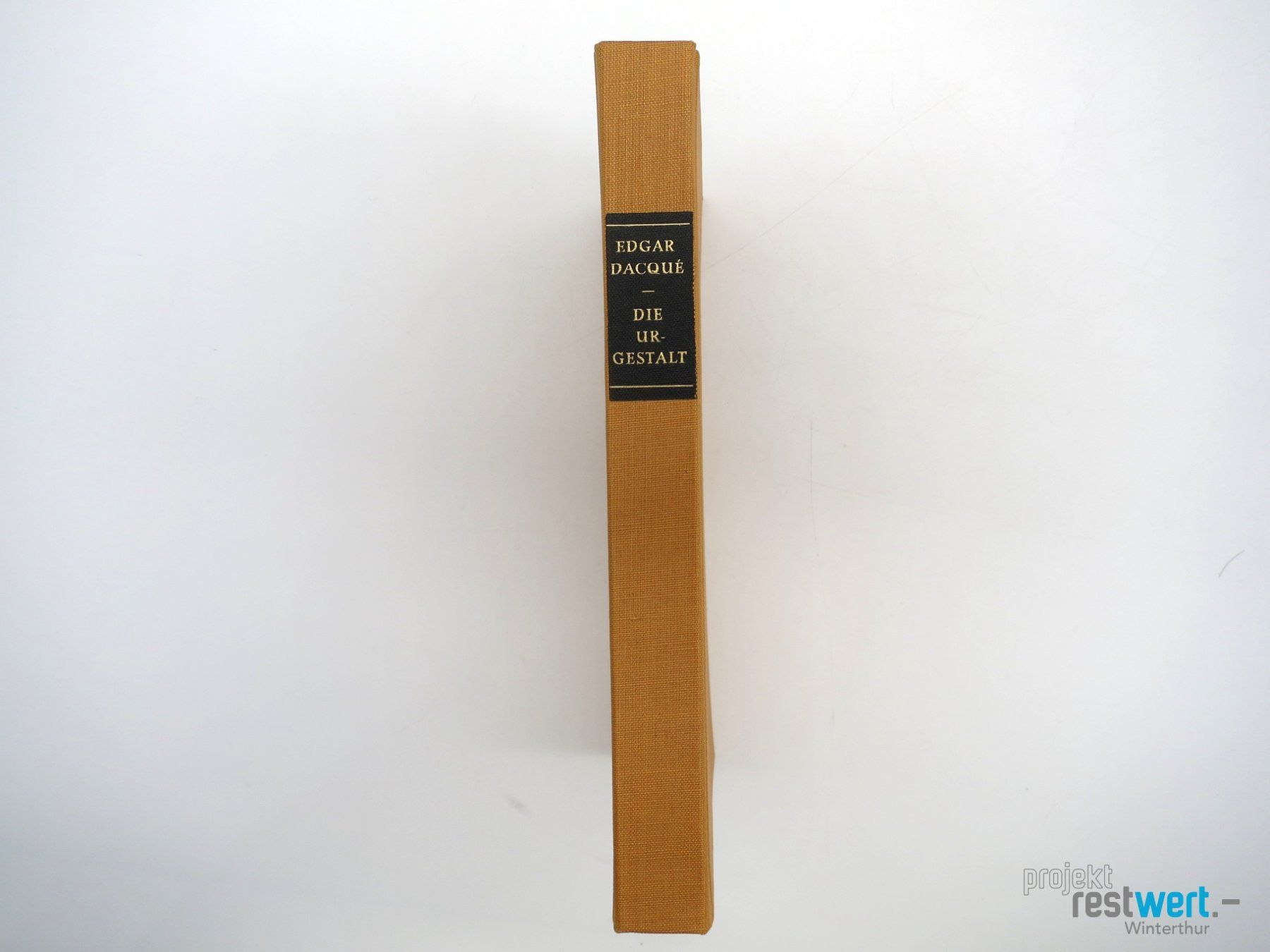 Libri: EDGAR DACQUÉ Die Urgestalt – Usato da Winterthur venduto da Restwert_Winterthur 6