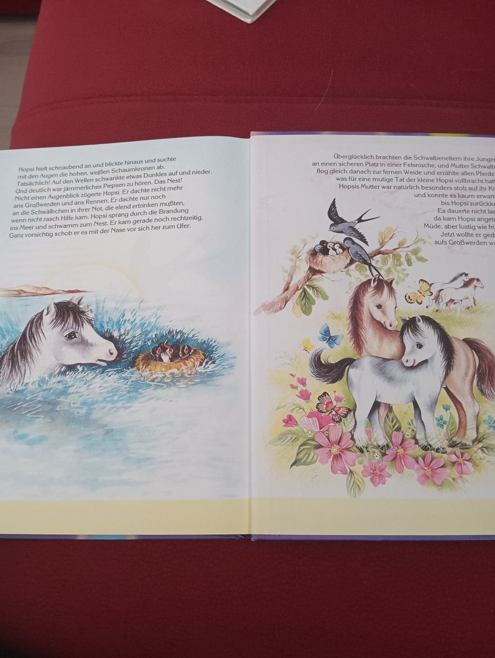 Libri: Mein lustiges Tierbuch / Kinderbuch – Usato da Schöfflisdorf venduto da kin_2dp9 5