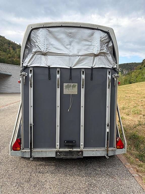 Anhänger: Pferde Anhänger  – Gebraucht aus Pratteln von Caterinaandreano03 1