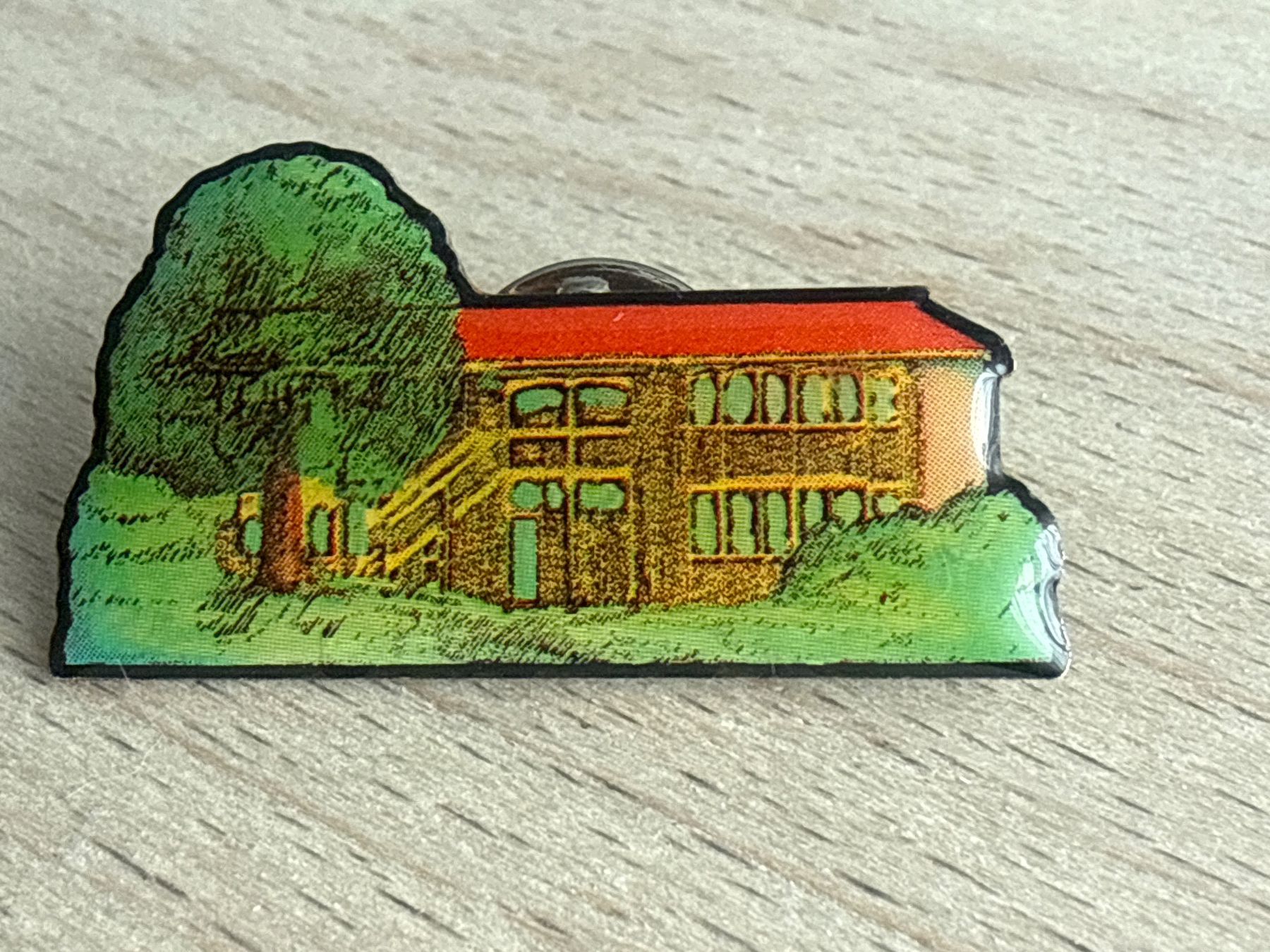 Placchette & Badge: Pin Rudolf Steiner Schule Bern – Usato da Glattbrugg venduto da Schweigmatt