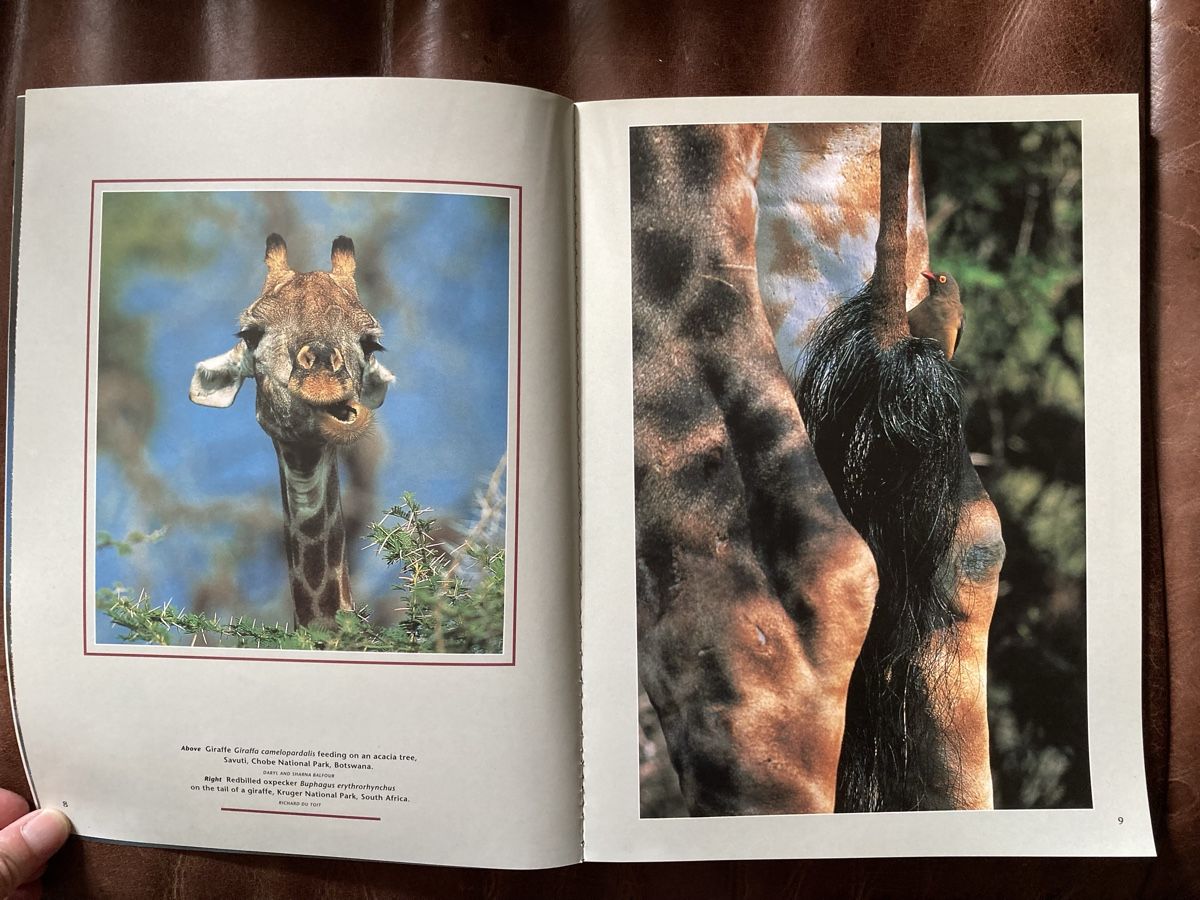 Riviste & Magazine: Fotozeitschrift aus Südafrika – Usato da Bolligen venduto da abara1 2