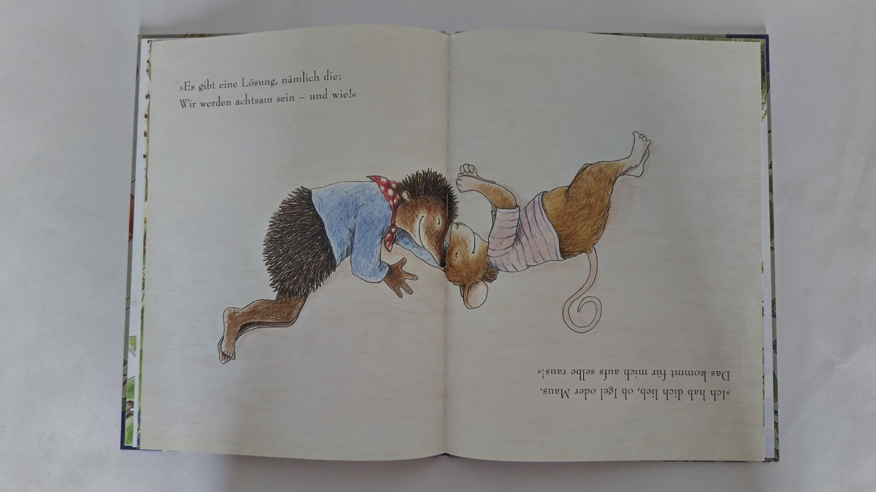 Libri: Wo bist du? / Bilderbuch 2004 ab Fr. 8.- / 2 Anfänge – Usato da Bellach venduto da JingleJerry 8