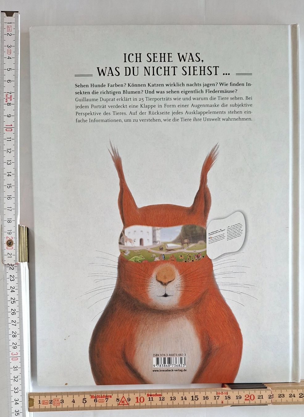 Libri: Kinderbuch: Was sieht eigentlich der Regenwurm? Top! – Usato da Opfikon venduto da Diversamente 1