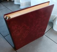 ÖSTERREICH POSTFRISCHE ** TEILSAMMLUNG IM RINGORDNER