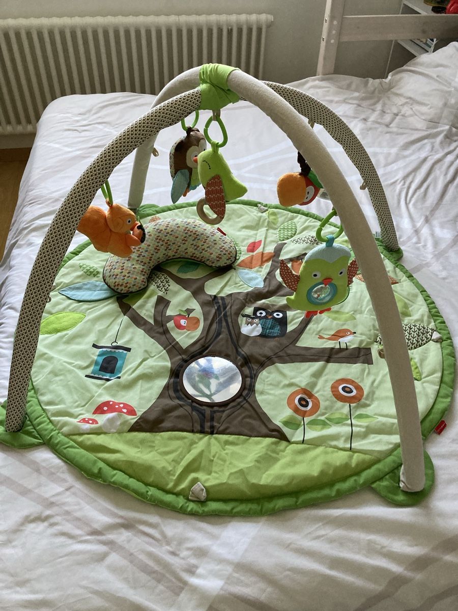 Tapis de jeu: Tapis de jeu – Neuf (Voir description) à Choulex par lor_2vrx