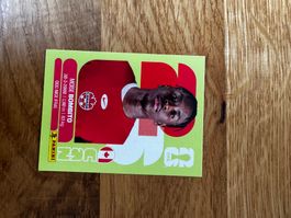 Panini FIFA World Cup 2026 Sticker CAN 8