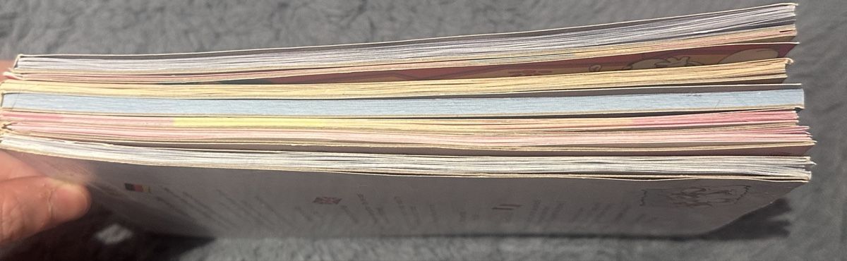 Papier: 7 Diddl Blöcke A5  – D'occasion à Othmarsingen par Crallthene98 1