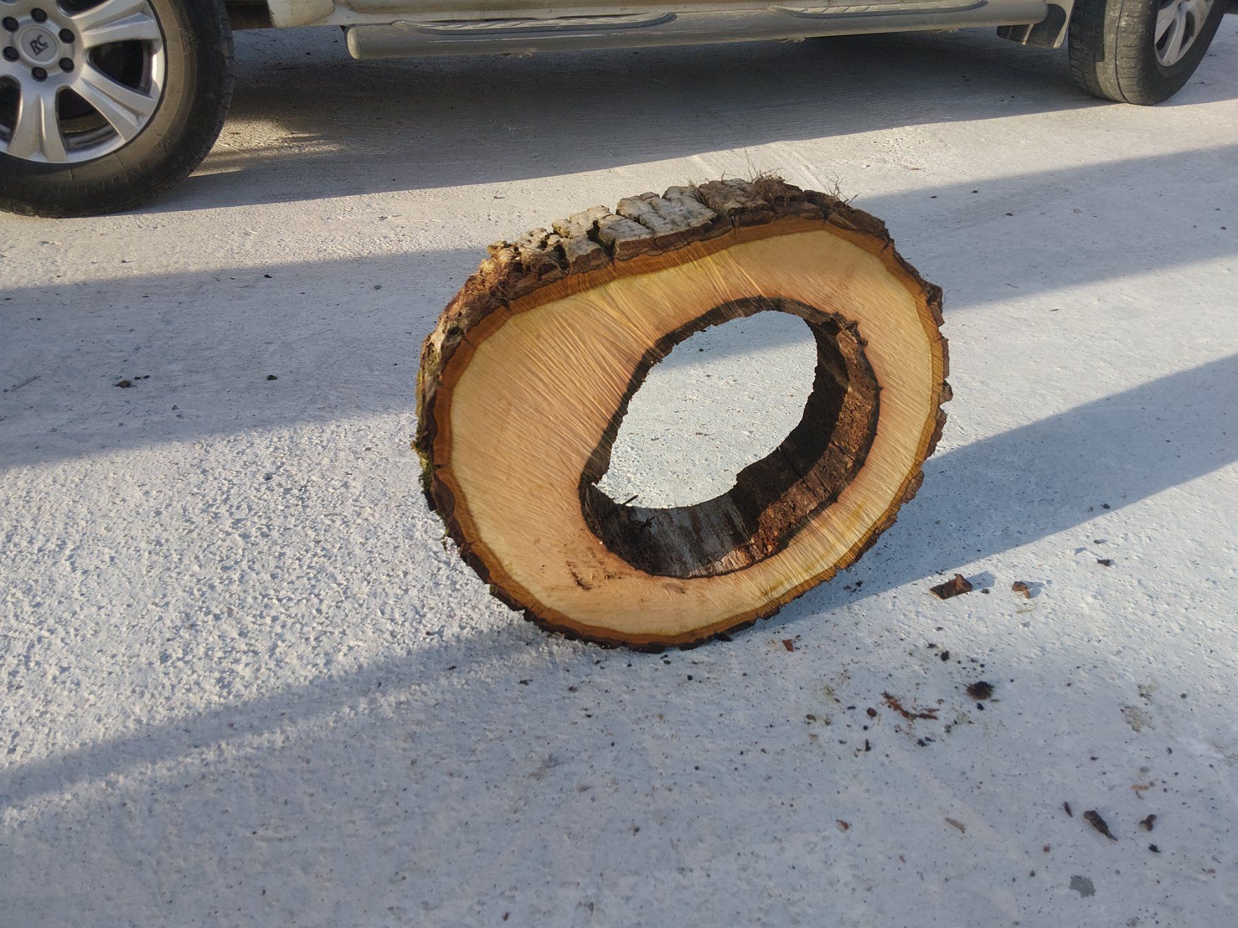 Articles en bois: Nussbaum Holzscheibe Nr. 8 Dekoration – Neuf (Voir description) à Affoltern am Albis par ret_6x6z 3