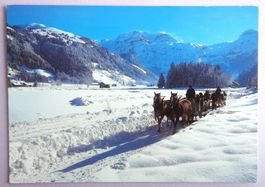 Lenk, Berner Oberland - Wildstrubel