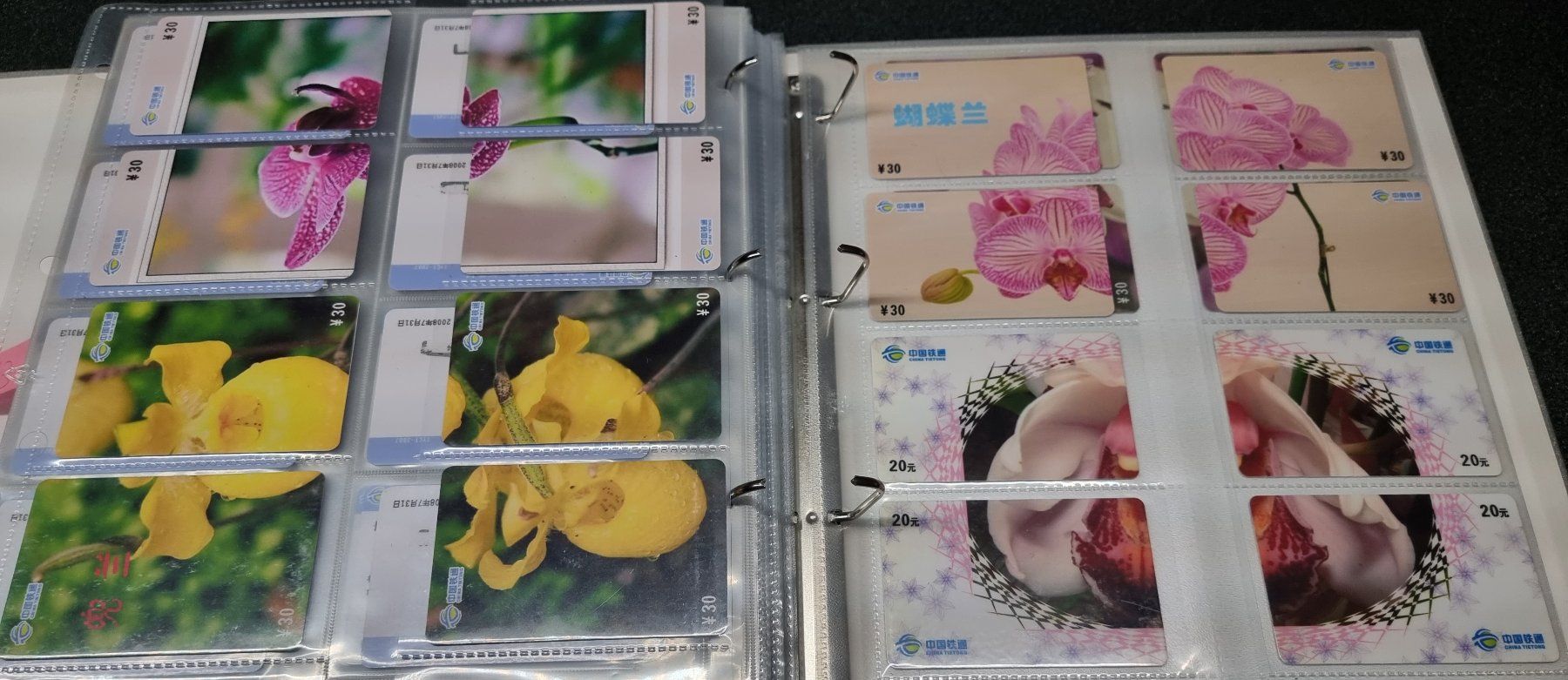 Album: Album 4 silber Telefonkarten Orchideen – Usato da Lostorf venduto da Dalbi 9