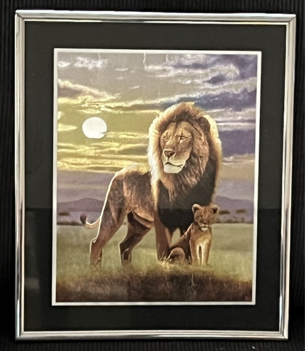 Foto & Immagini: Schönes Bild mit Löwenmotiv – Usato da Kriens venduto da Honey79