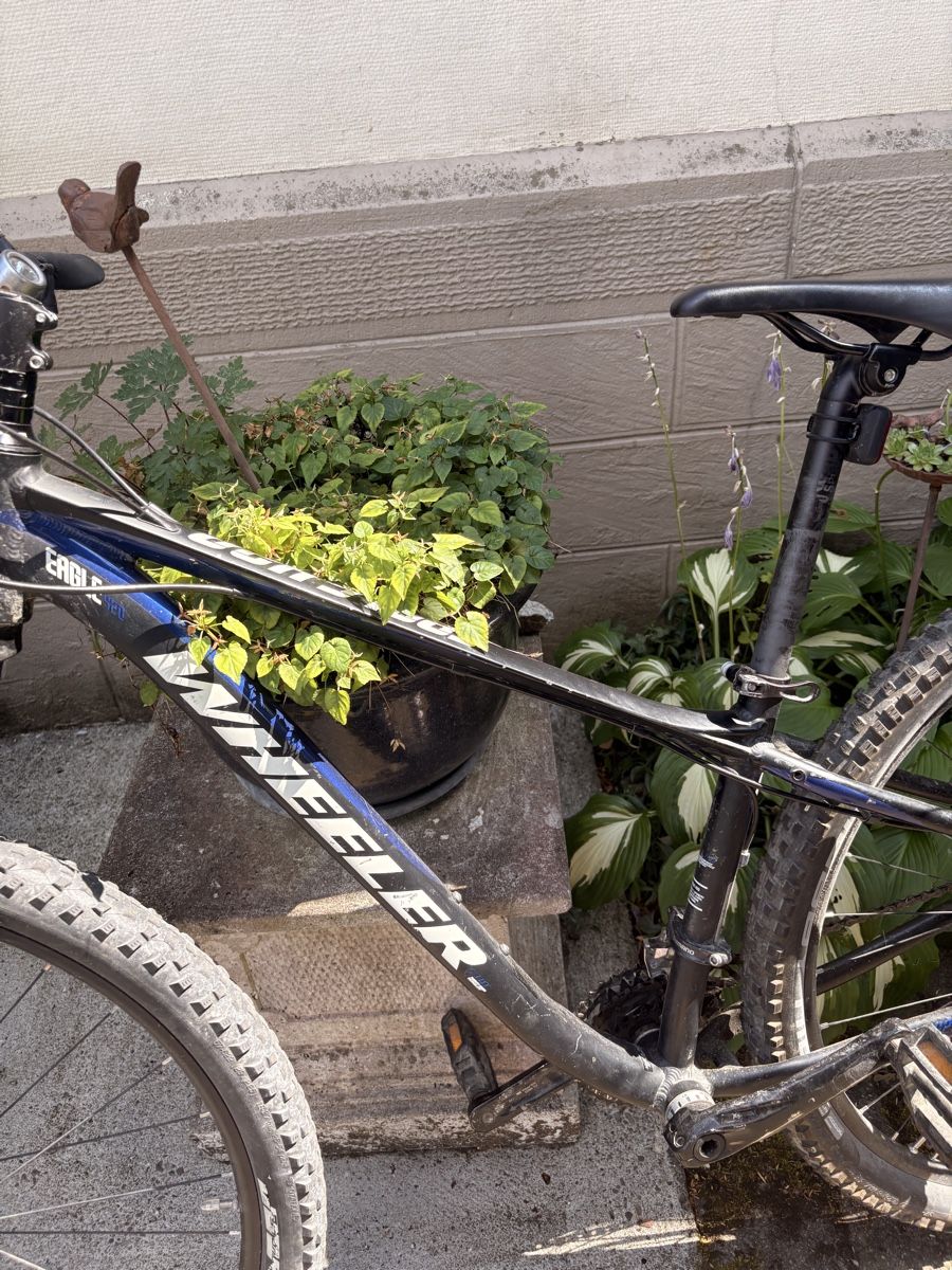 Wheeler Biciclette: Mountainbike Wheeler Eagle 420 MTB schwarz – Usato da Gelterkinden venduto da Bearick 1