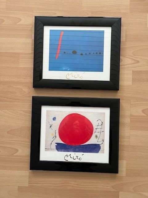 Foto & Immagini: Miró Kunstdrucke – Usato da Werthenstein venduto da Meia01