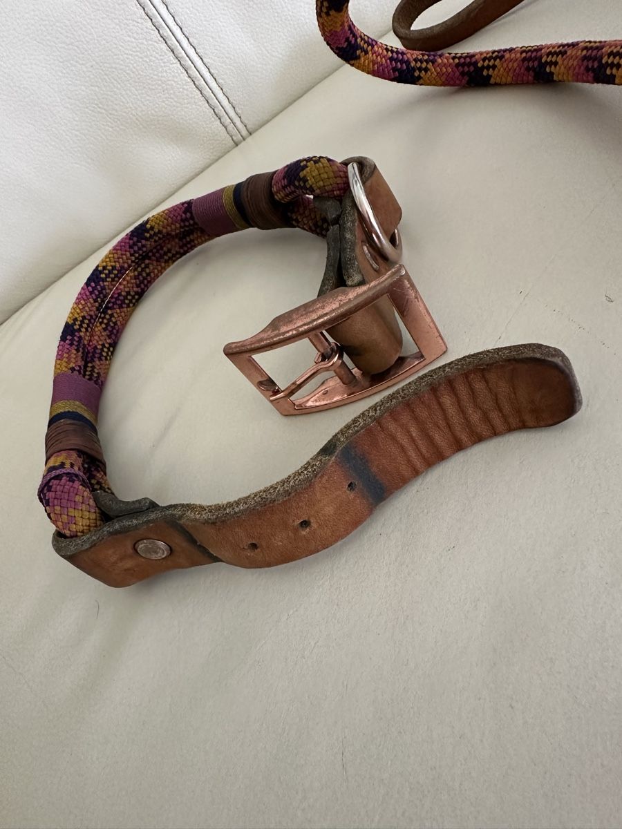 Leine & Halsband: Schönes Leinen und Halsband Set – Gebraucht aus Buttikon SZ von TamaraS01 2
