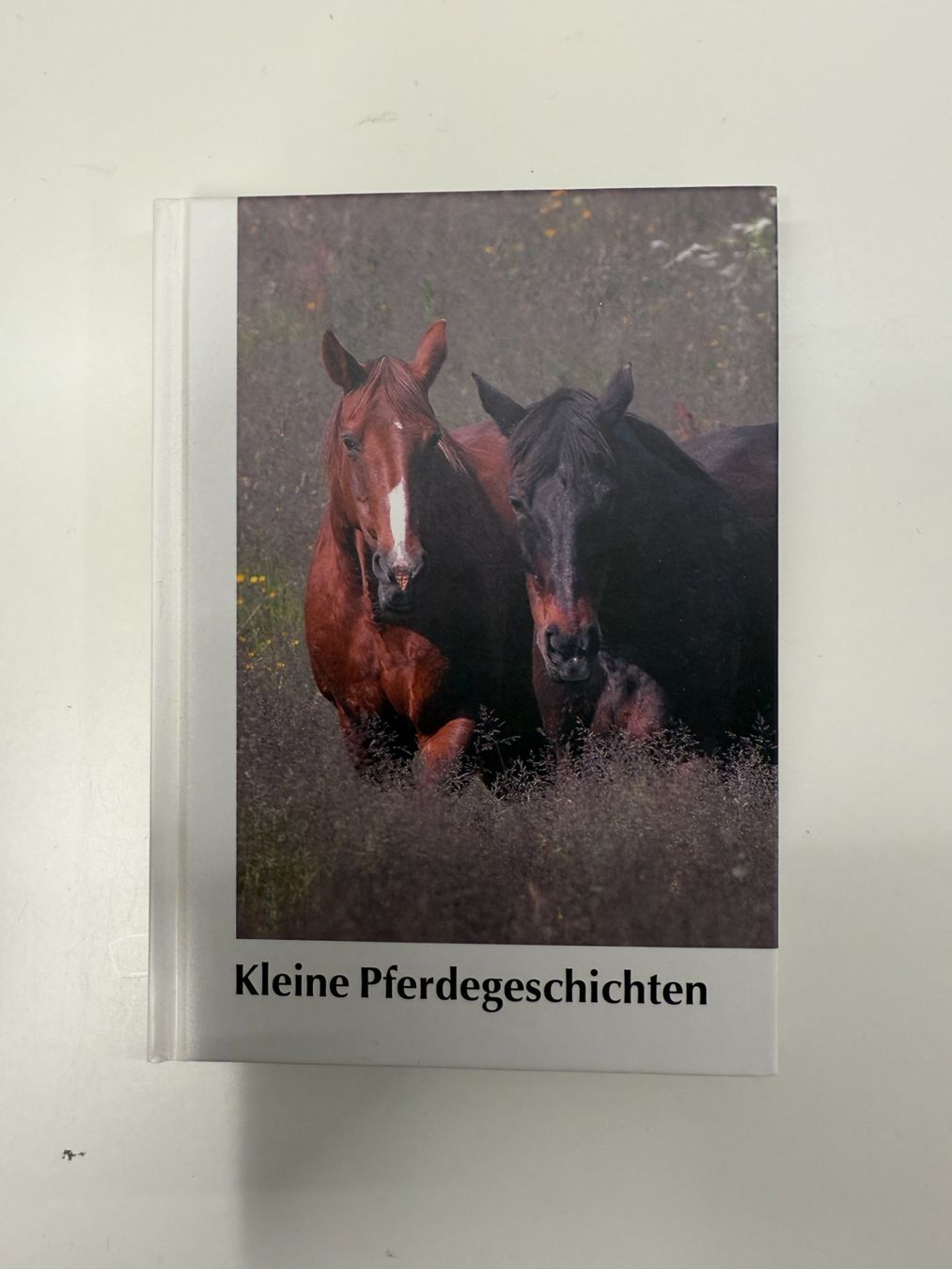 Bücher: Kleine Pferdegeschichten - Nr 53 – Gebraucht aus Erstfeld von Mario_boe0