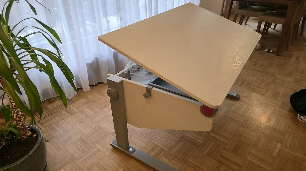 Moll Schreibtische: MOLL Schreibtisch Winner Classic – Gebraucht aus Pfäffikon SZ von siobz 2