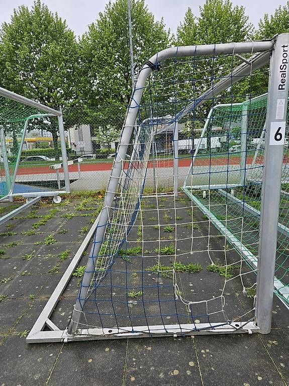 Rimorchi: Chariots et goal – Usato da Chavannes-Renens venduto da Coco200 2
