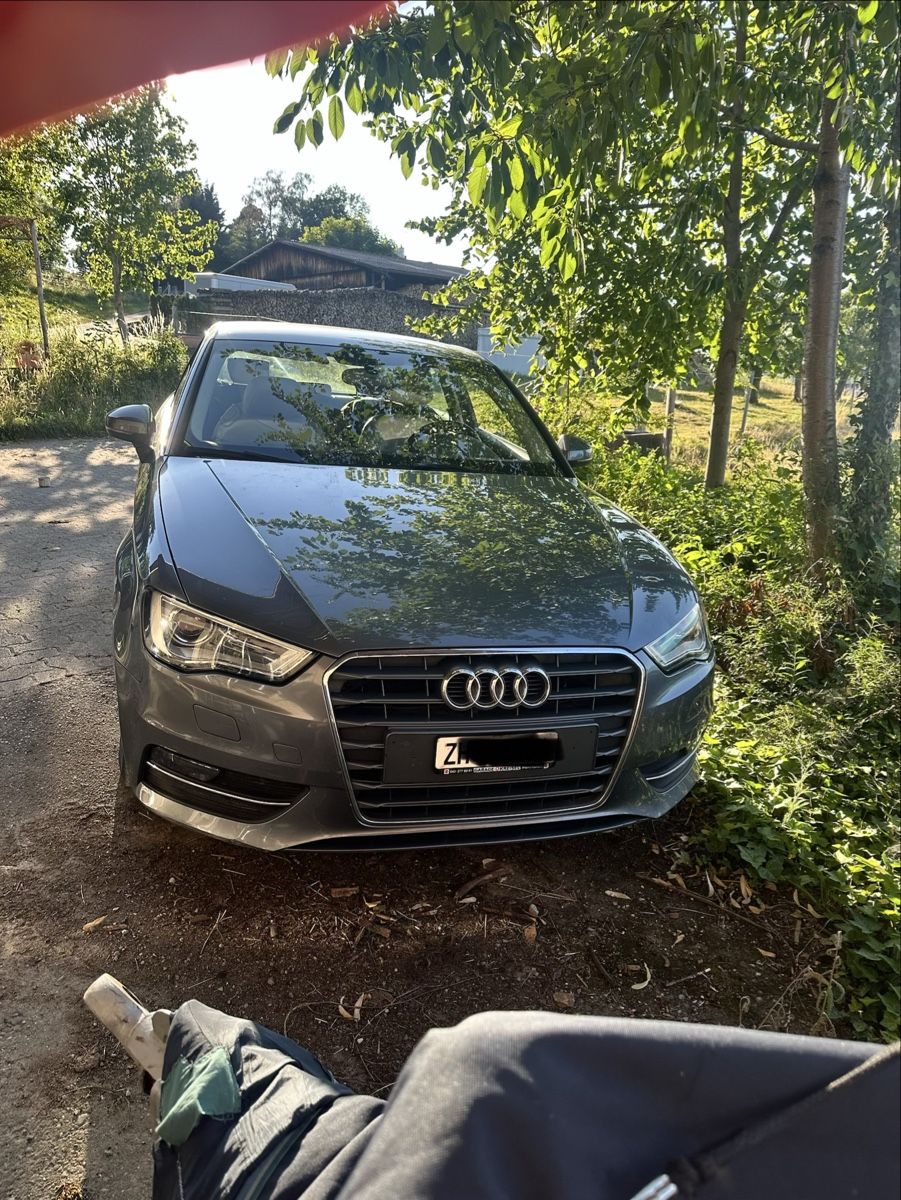 Audi Automobili: Audi A3 1.4 TSFi – Usato da Ebmatingen venduto da isabelmaiwald 3