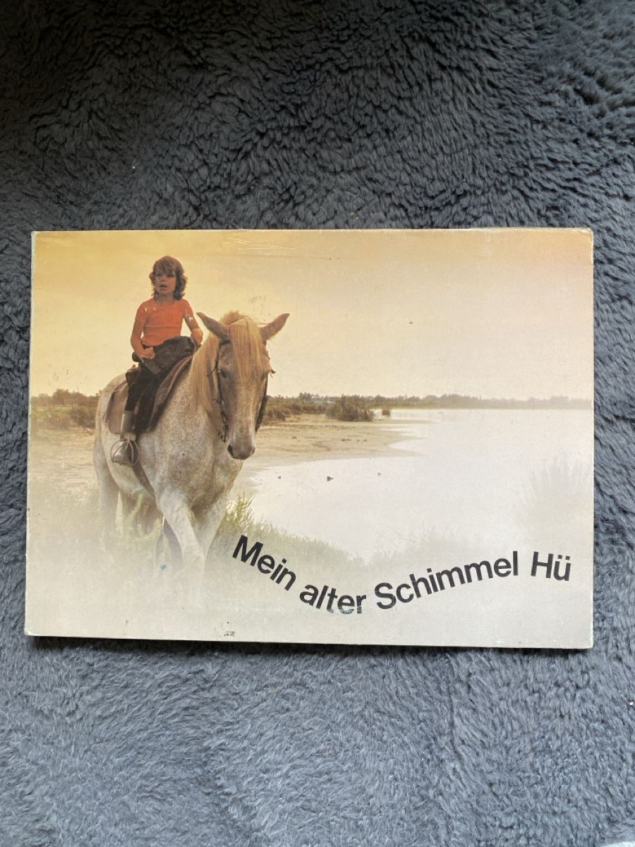 Dischi in vinile: Mein alter Schimmel Hü- Vinyl Single – Usato da Liestal venduto da Stephanoceras1