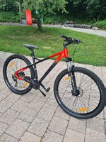 California Mountain - Bike Burbank 29"