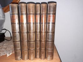 FLAUBERT G. GESAMMELTE WERKE 5Bd. In 6B