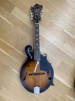 Washburn Mandoline mit Koffer,