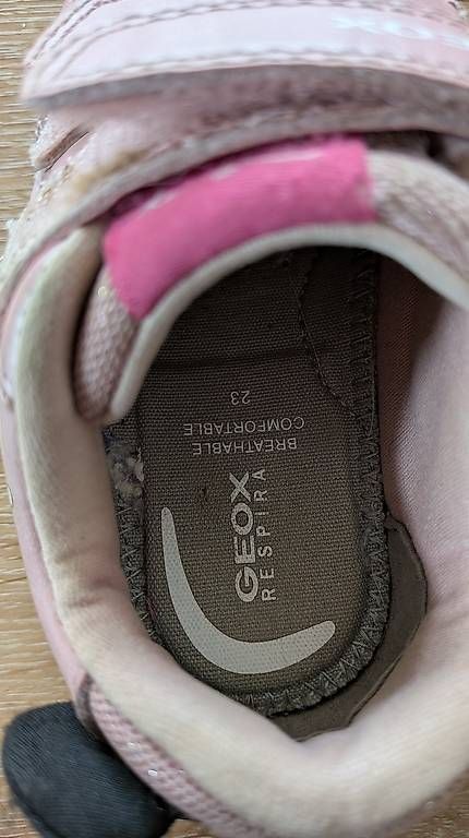 Geox Scarpe per ragazze: Turnschuh Geox Grösse 23 – Usato da St. Erhard venduto da jor_c9md 2