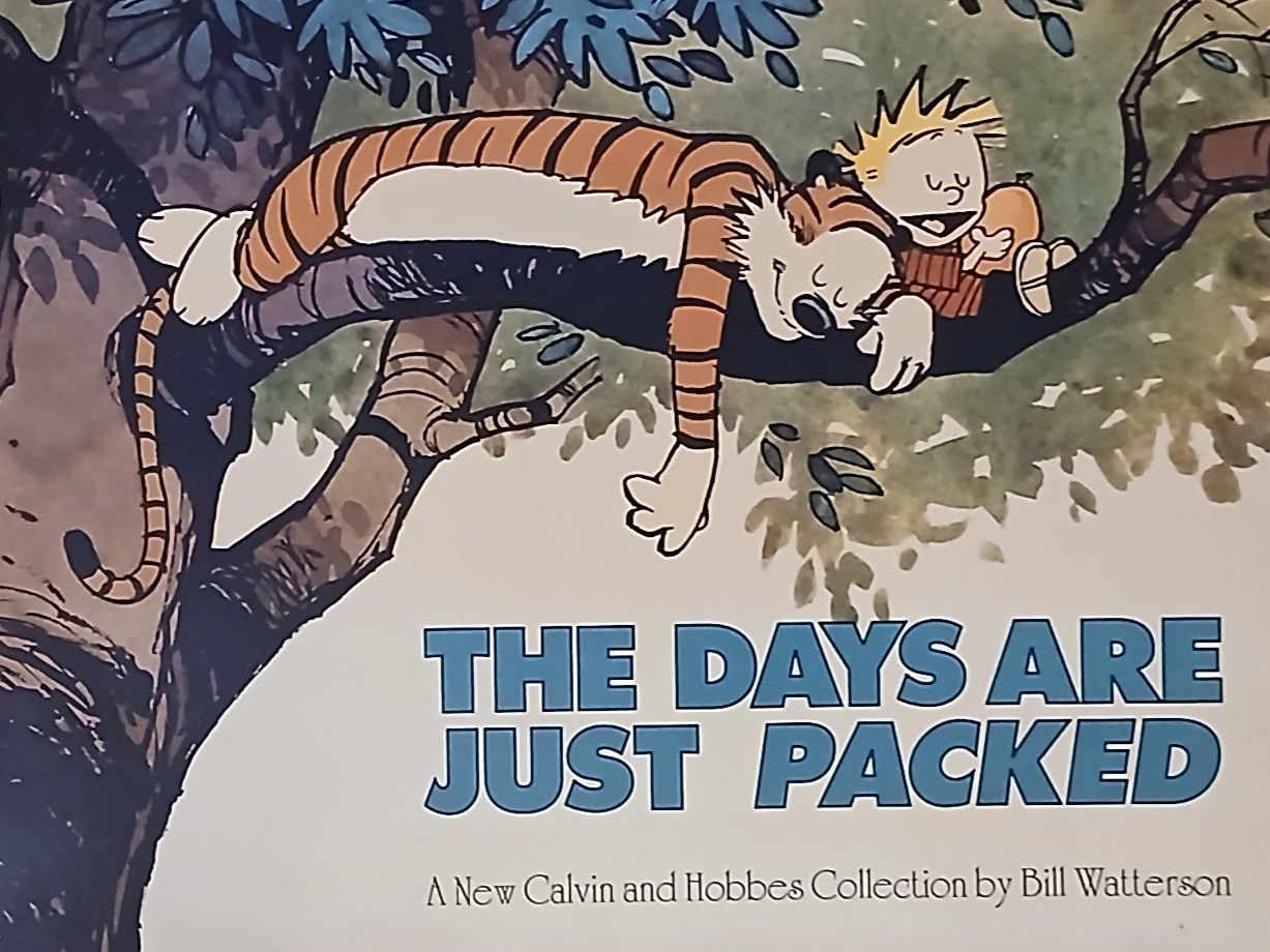 Comics: The Days are just Packed by Bill Wallterson – Gebraucht aus Seewen SO von Shami0