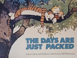 The Days are just Packed by Bill Wallterson