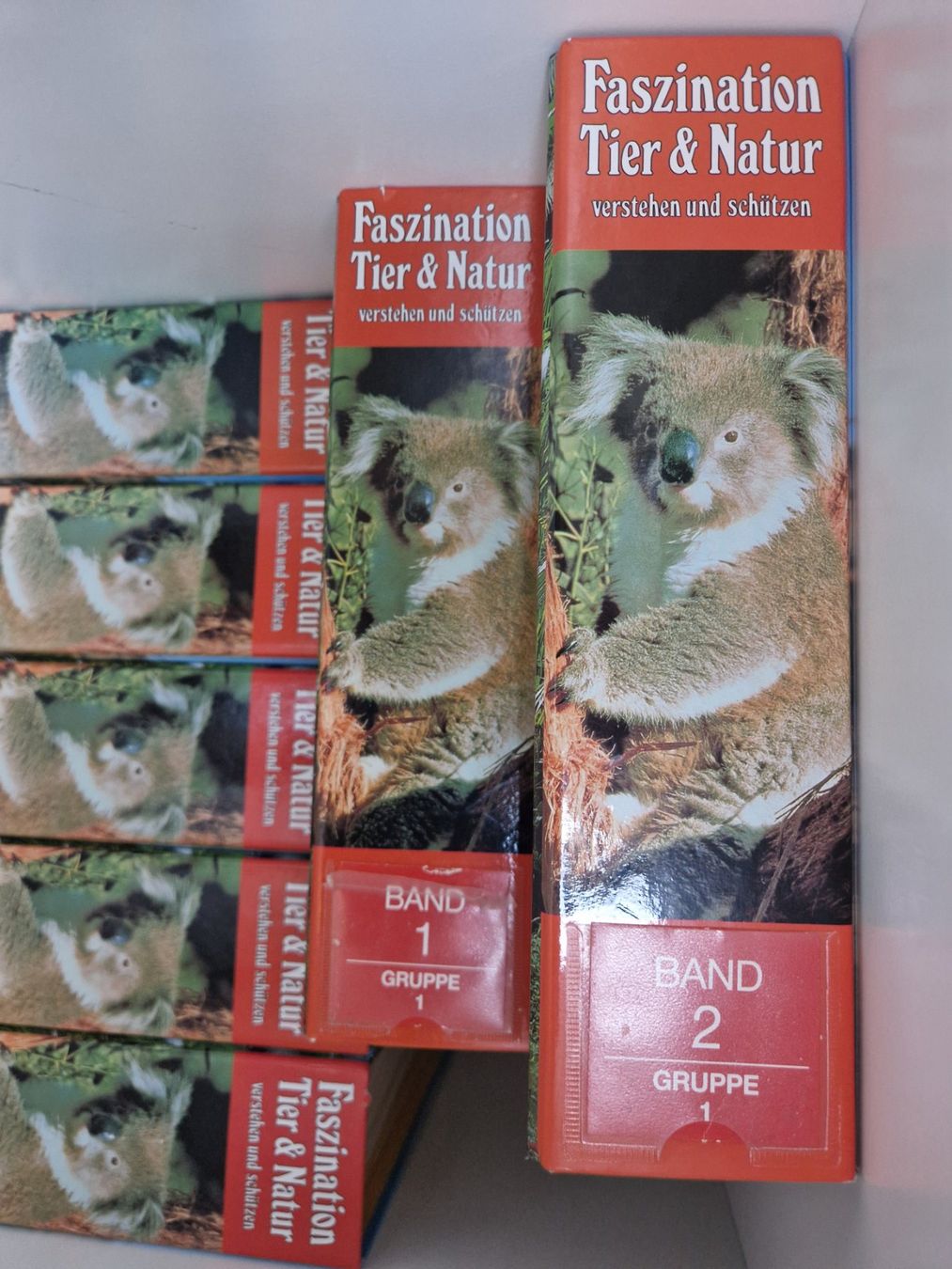 Libri: Faszination Tier & Natur – Usato da Lotzwil venduto da DonGavallo 1