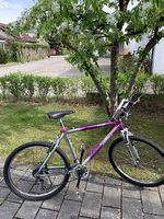 Mondia Peak Vintage  Mountainbike