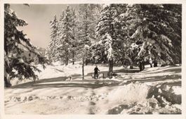 Chemin de Crans