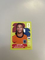 Panini 2026