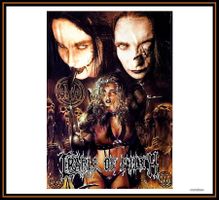 Fahne *Cradle of Filth* - Nr. J-5977