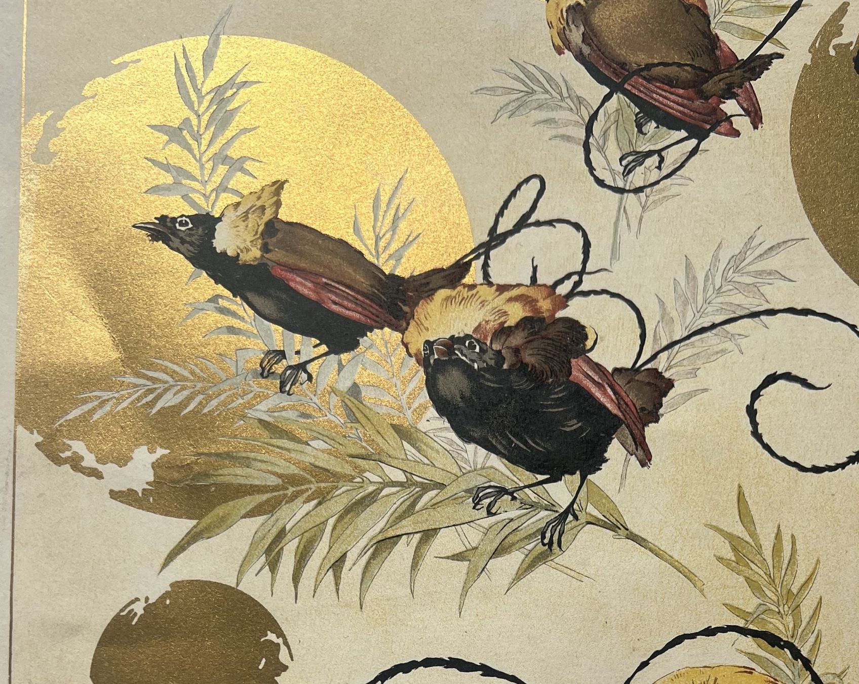 Grafica & Litografie: Chromolithographie Oiseaux – Usato da Cologny venduto da flo_7dnj 3